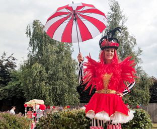 Traditional circus