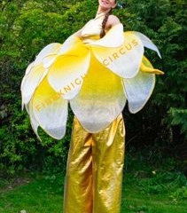 Stilt walker
