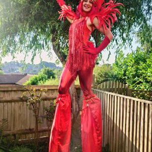 Red carnival 
