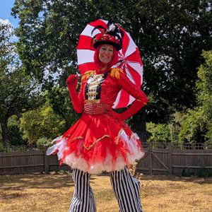 Traditional circus 