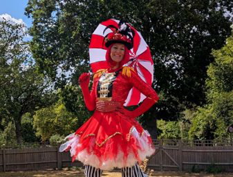 Traditional circus 