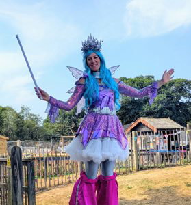 Fairy new 2026