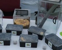 Summer Event