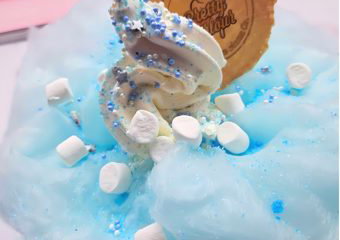 The Pretty Parlour ice cream Company