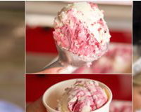locally sourced gelato and soft serve