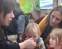 Millipede