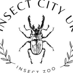 Insect City UK Logo