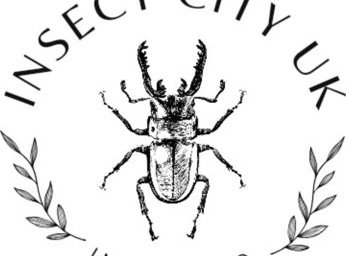 Insect City UK Logo