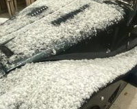IMG_2351.jpeg