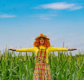 Scarecrow 