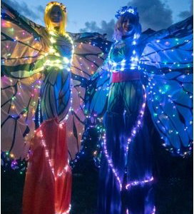Led butterflys