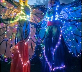 Fireknights Circus- LED light Entertainment