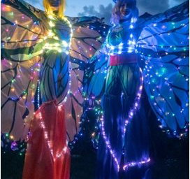 Led butterflys