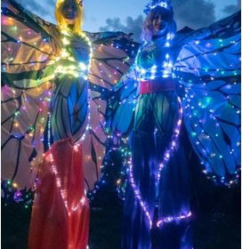 Fireknights Circus- LED light Entertainment