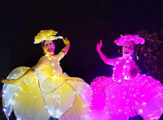 Fireknights Circus- LED light Entertainment