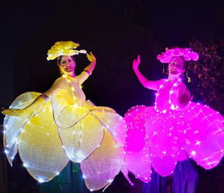 Fireknights Circus- LED light Entertainment