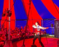 Circus Show