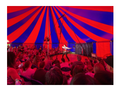 The Circus Experience logo