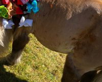IMG_1293.jpeg