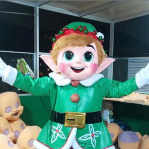 Jingles the Elf