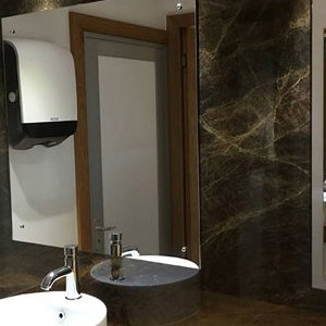 Luxury Toilets