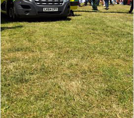 Event Medical Solutions SW CIC