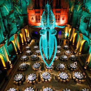 Mathias Event Photography award ceremony at Natural History Museum