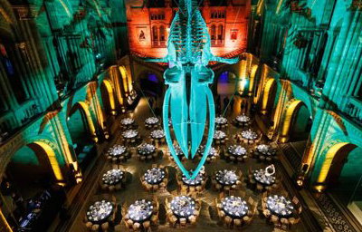 Mathias Event Photography award ceremony at Natural History Museum