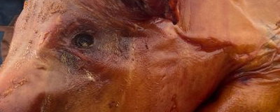 Hog Roast in Yorkshire
