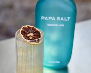 Papa's Seabreeze Cocktail.jpg