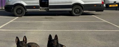 IMG_4313.jpeg