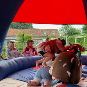 Hen Party Rodeo Bull Norwich
