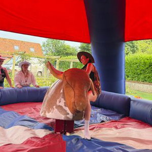 Hen Party Rodeo Bull Norfolk