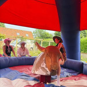 Hen Party Rodeo Bull Norfolk