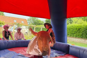 Rodeo Bull Norwich