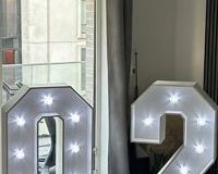 LED Numbers