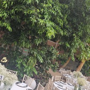 Outdoor Wedding Chair and Round Table Hire in London