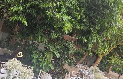 Outdoor Wedding Chair and Round Table Hire in London