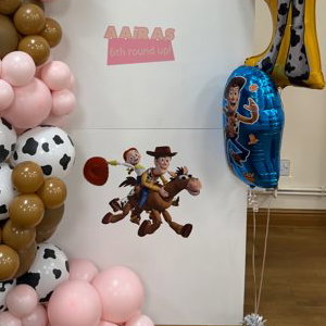  Character birthday sailboard 