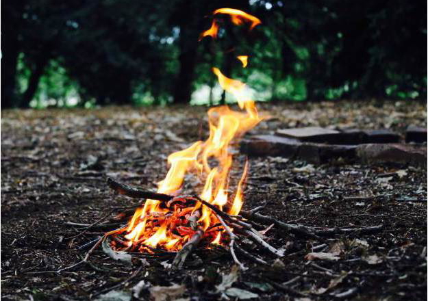 Bushcraft Experience in Stirling and Falkirk