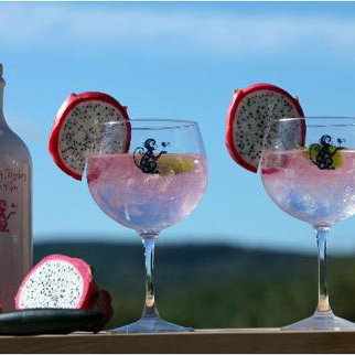 Gin Tasting
