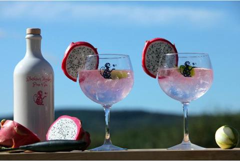 Gin Tasting