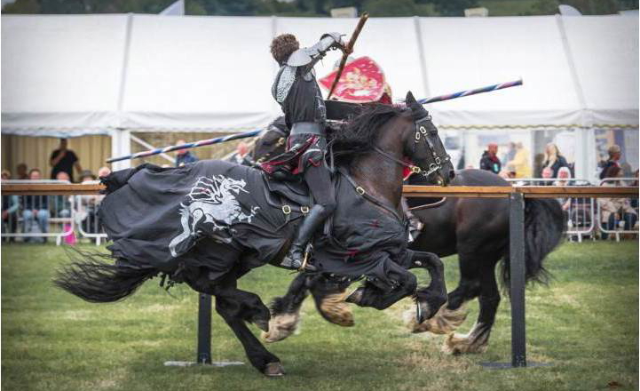 Historical Reenactments in Port Eglinton