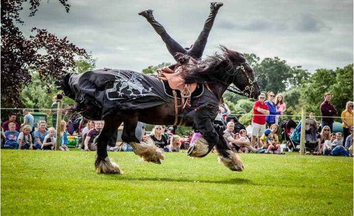 Horse Displays in Jesmond