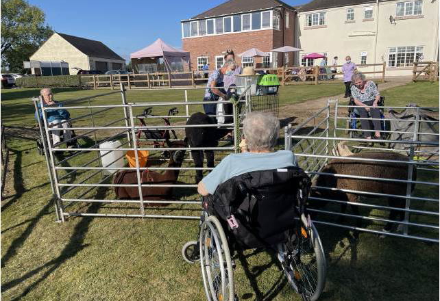 Mobile Farm & Animal Experiences in Old Polmont