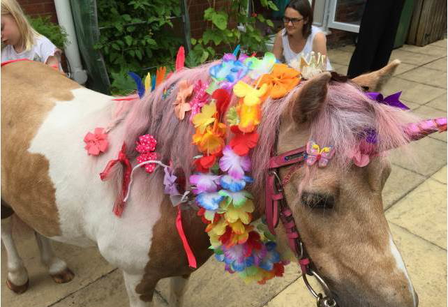 Pony Party in West Yorkshire