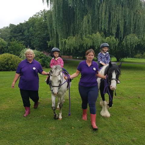 Pony Rides