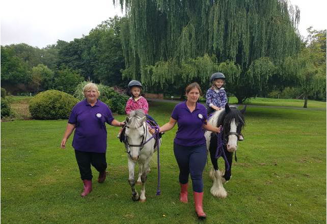 Pony Rides
