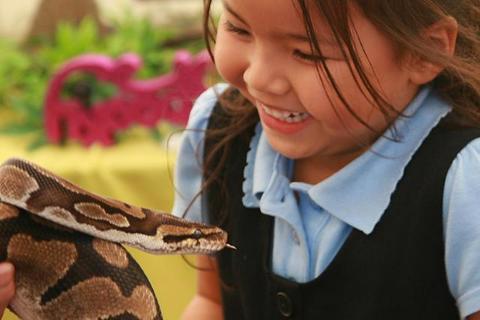 Reptile & Insect Encounters in Old Polmont