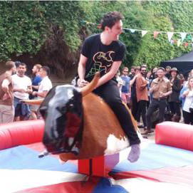 Rodeo Bulls